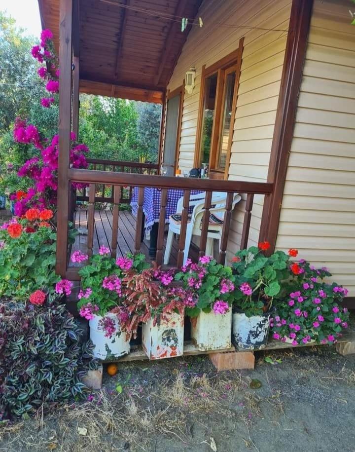 Caunos Bungalow Mugla Exterior photo